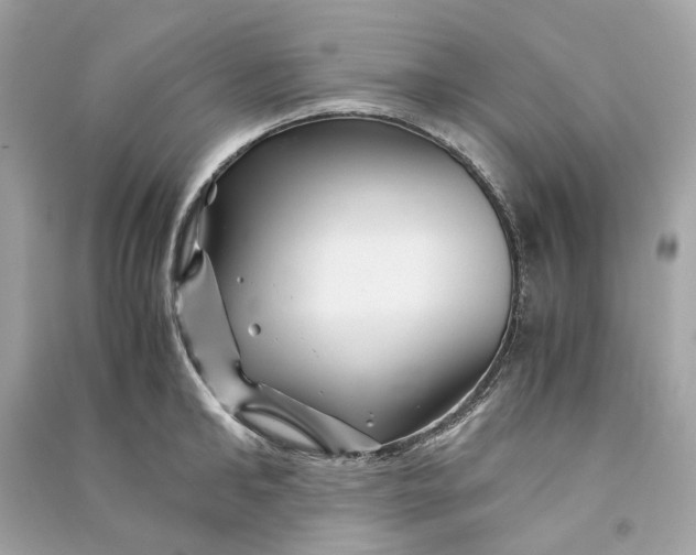 X0000090760902200708101745