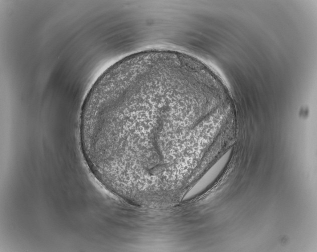 X0000090760903200708101745