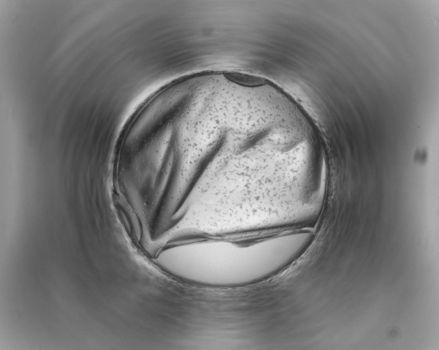 X0000090760904200708101745