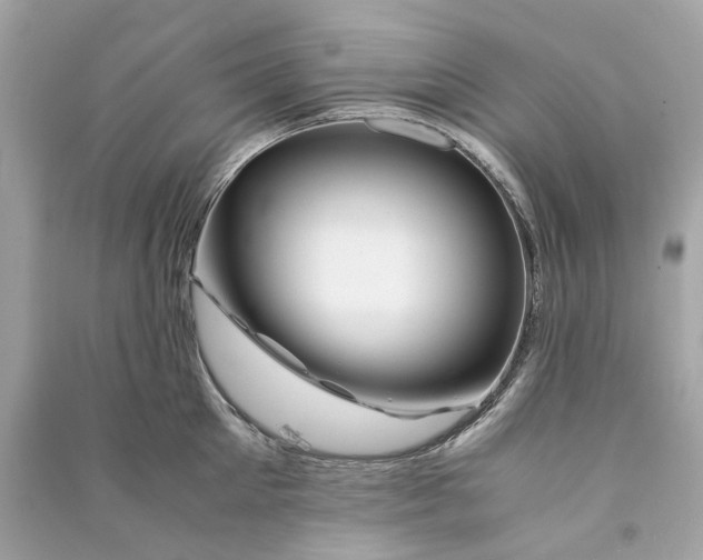 X0000090760905200708101745