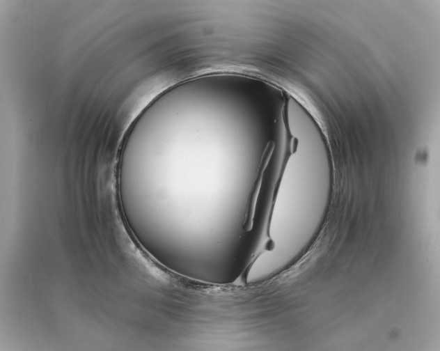 X0000090760906200708101744