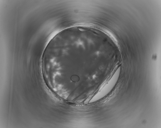 X0000090760907200708101744