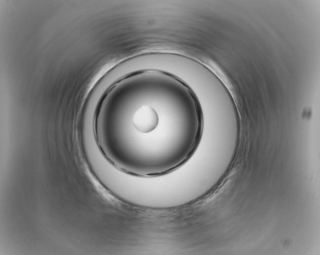 X0000090760909200708101744