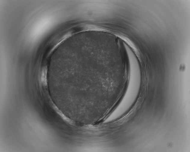 X0000090760910200708101744