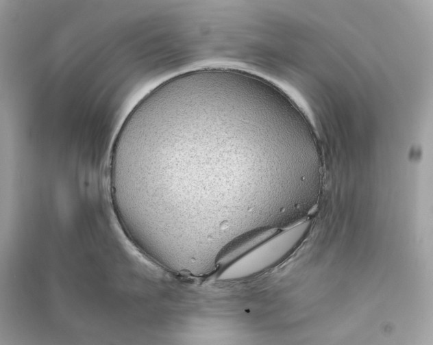 X0000090760911200708101744