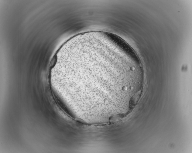 X0000090760912200708101744