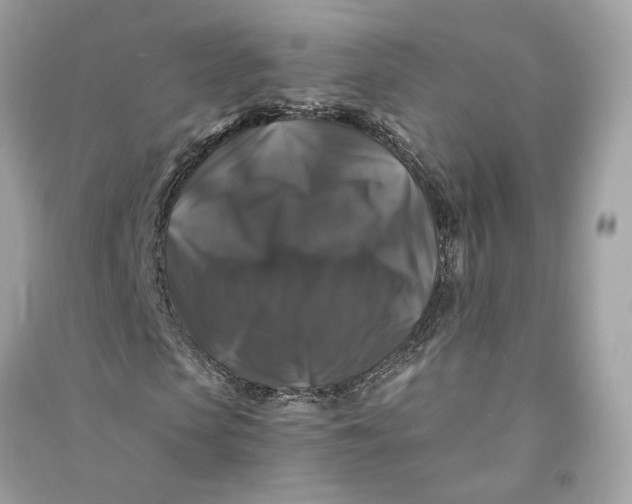 X0000090760913200708101744