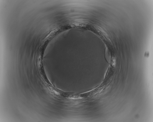 X0000090760915200708101744