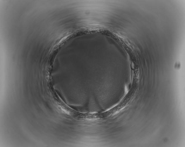 X0000090760916200708101744