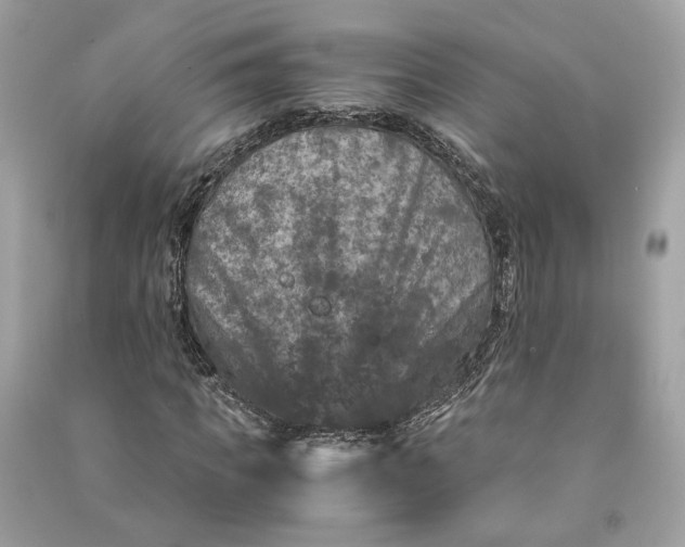 X0000090760917200708101744