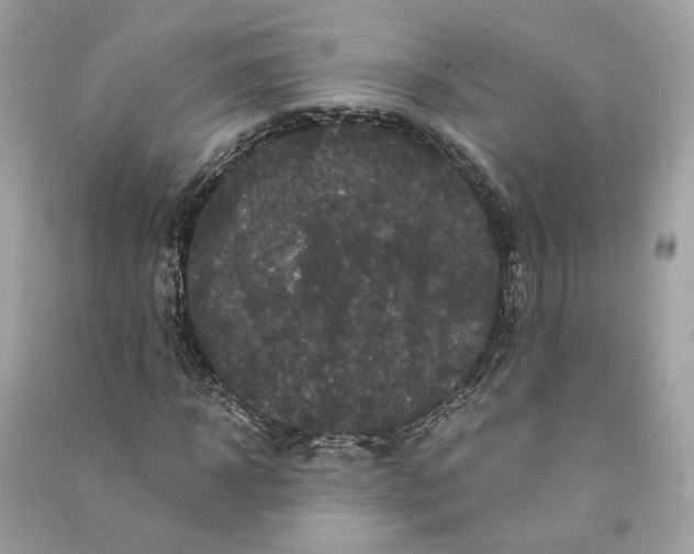 X0000090760918200708101744