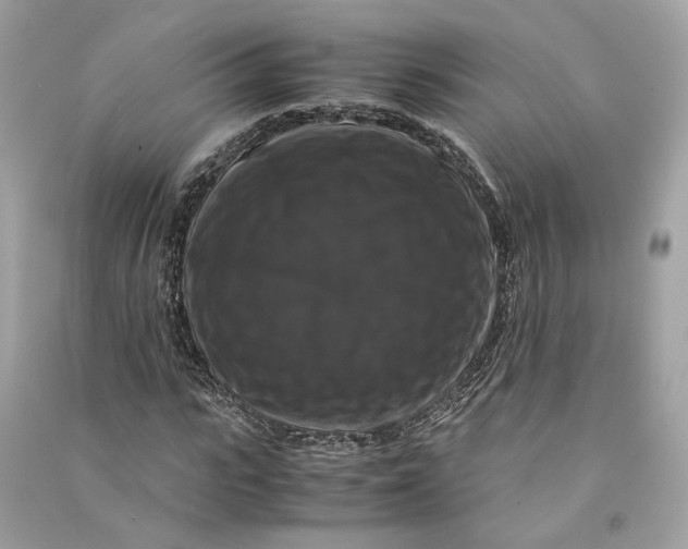 X0000090760919200708101744