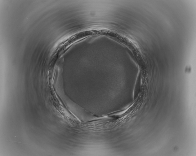 X0000090760920200708101744