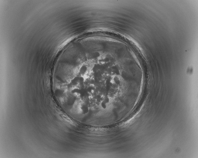 X0000090760921200708101744