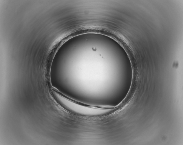 X0000090760922200708101744