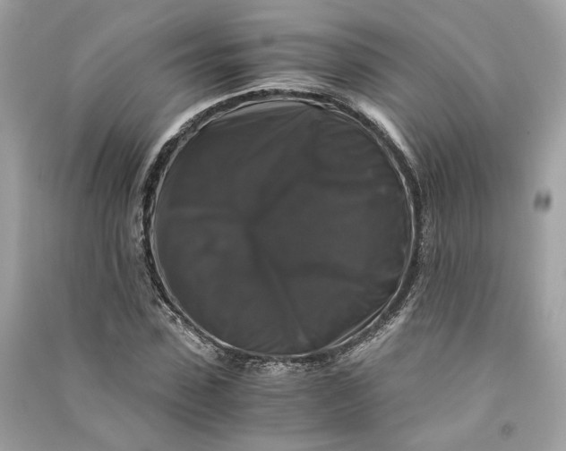 X0000090760923200708101744