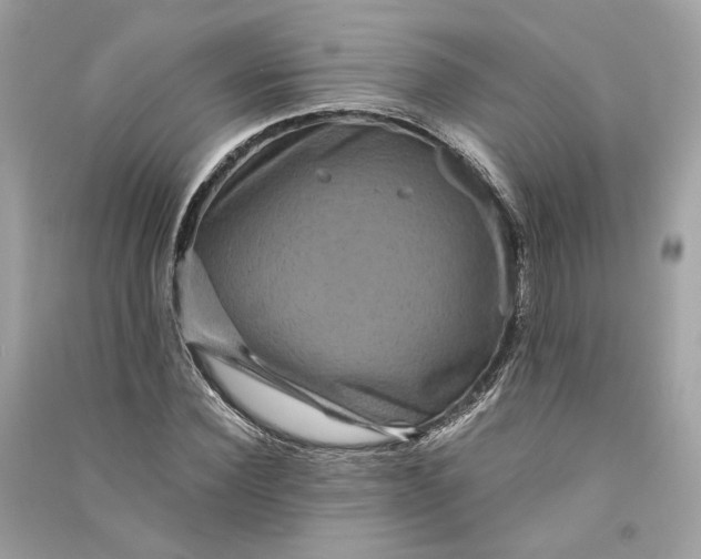 X0000090760924200708101744