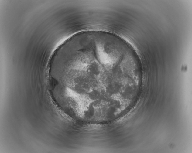 X0000090760925200708101744