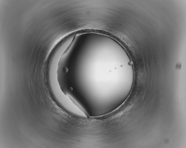 X0000090760926200708101744