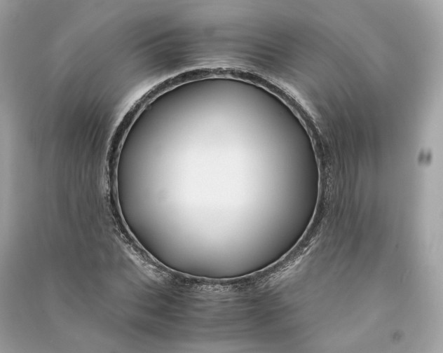 X0000090760927200708101744