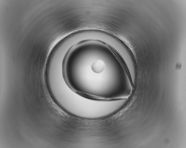 X0000090760928200708101744