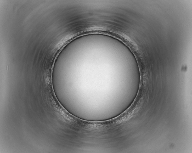 X0000090760929200708101744