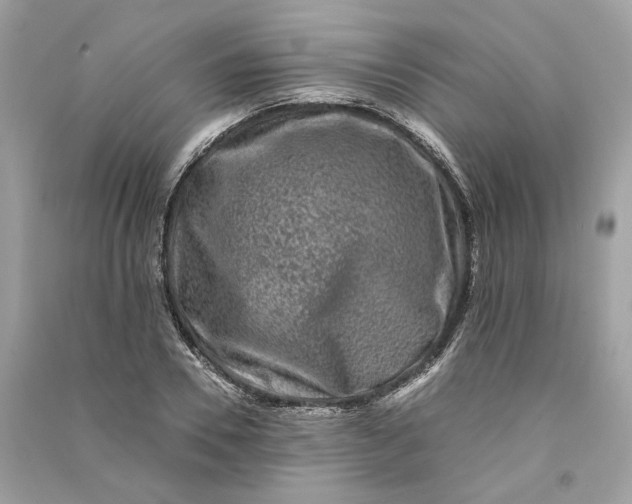 X0000090760930200708101744