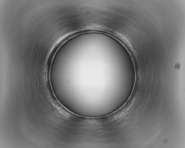 X0000090760931200708101744