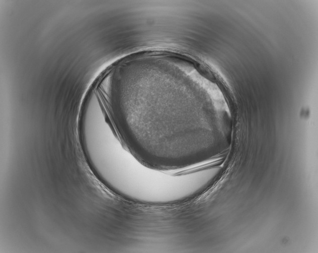 X0000090760932200708101744