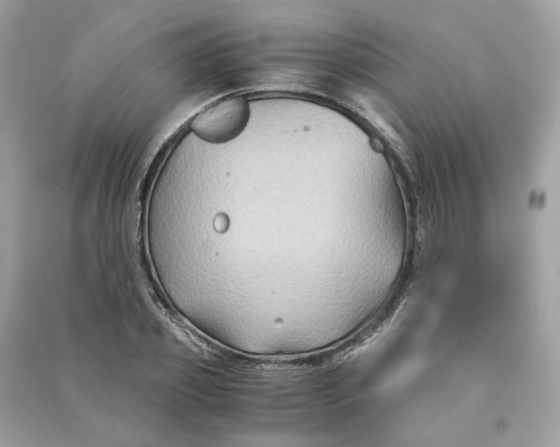 X0000090760933200708101744