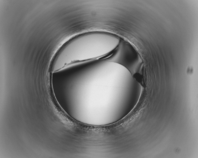 X0000090760934200708101744