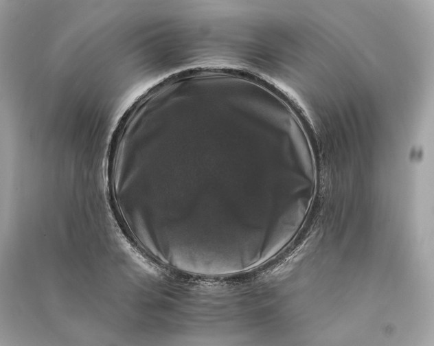 X0000090760935200708101744