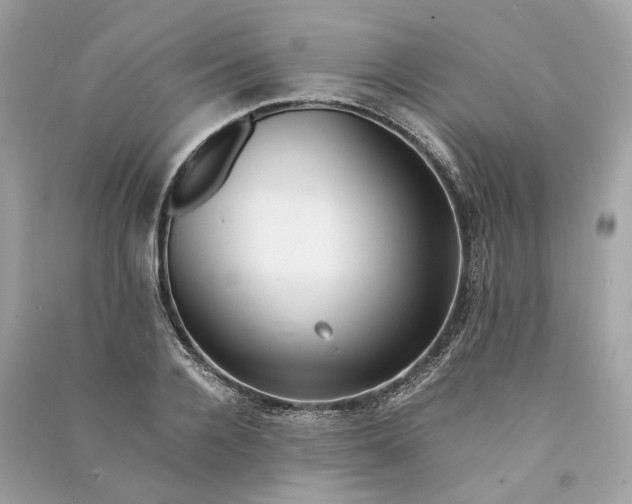 X0000090760936200708101744