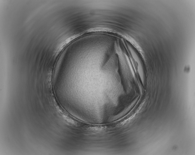 X0000090760937200708101744