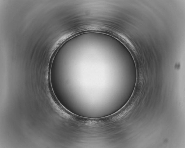 X0000090760938200708101744