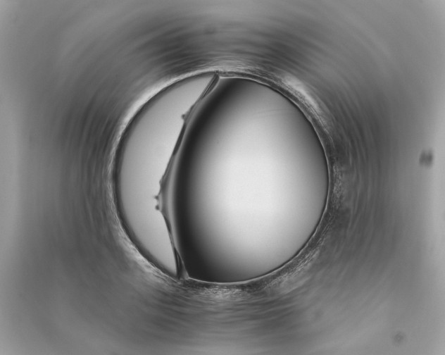 X0000090760939200708101744