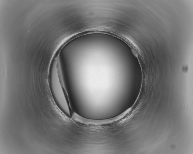 X0000090760940200708101744