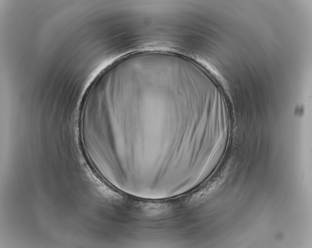 X0000090760941200708101744