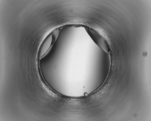 X0000090760942200708101744