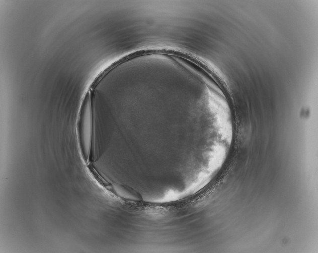 X0000090760943200708101744