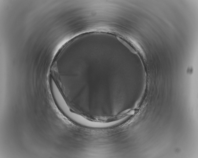 X0000090760944200708101744