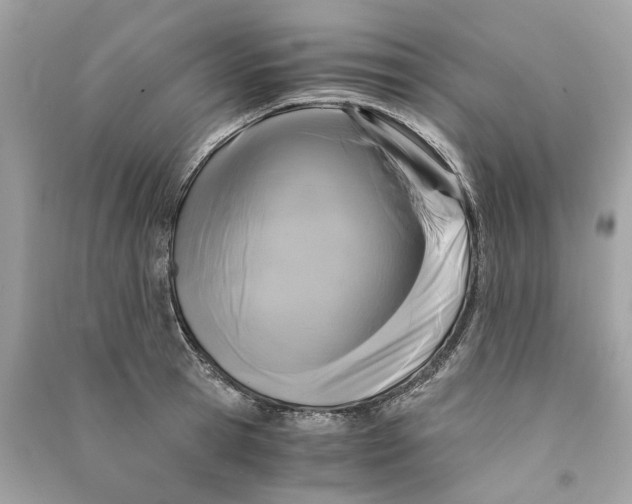 X0000090760945200708101744