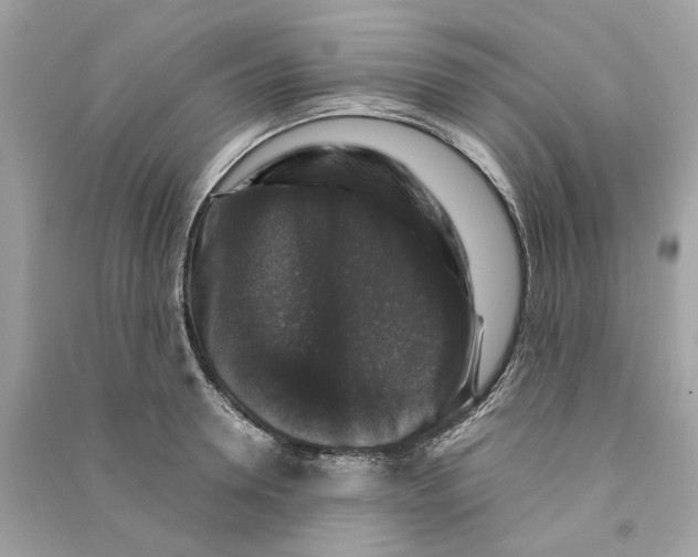 X0000090760946200708101744