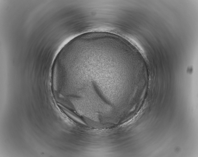 X0000090760948200708101744