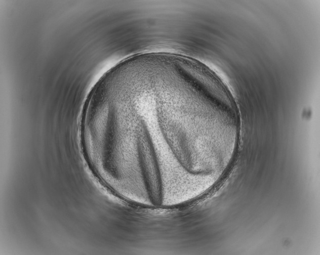 X0000090760949200708101744