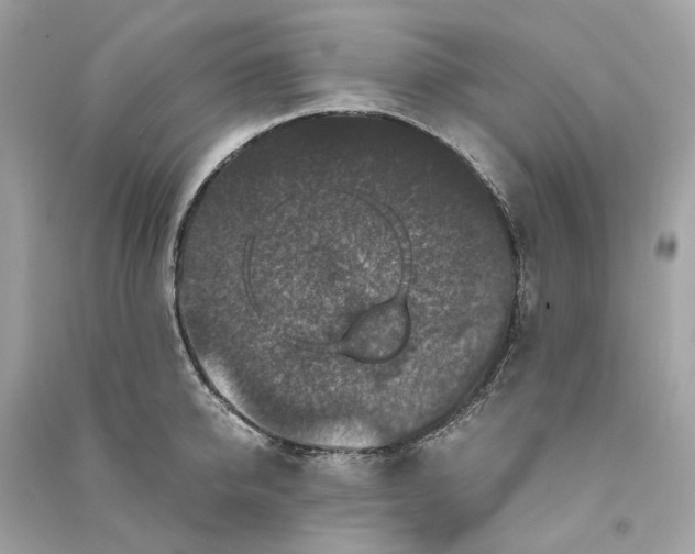 X0000090760950200708101744