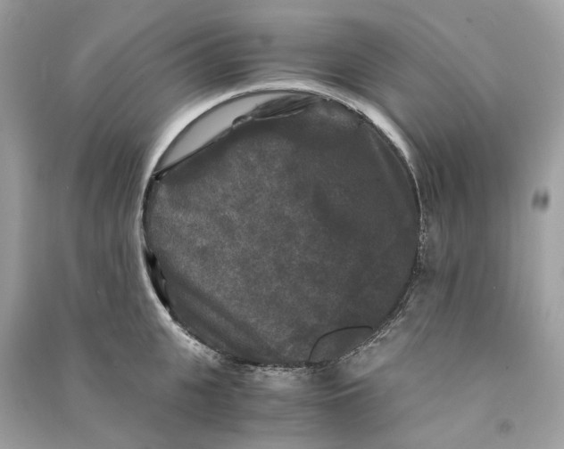 X0000090760951200708101744