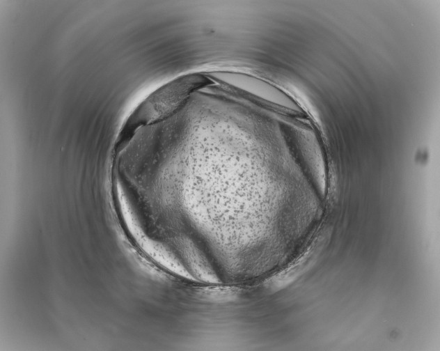 X0000090760952200708101744