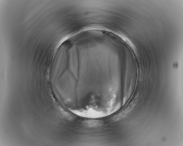 X0000090760953200708101744