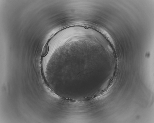 X0000090760954200708101744